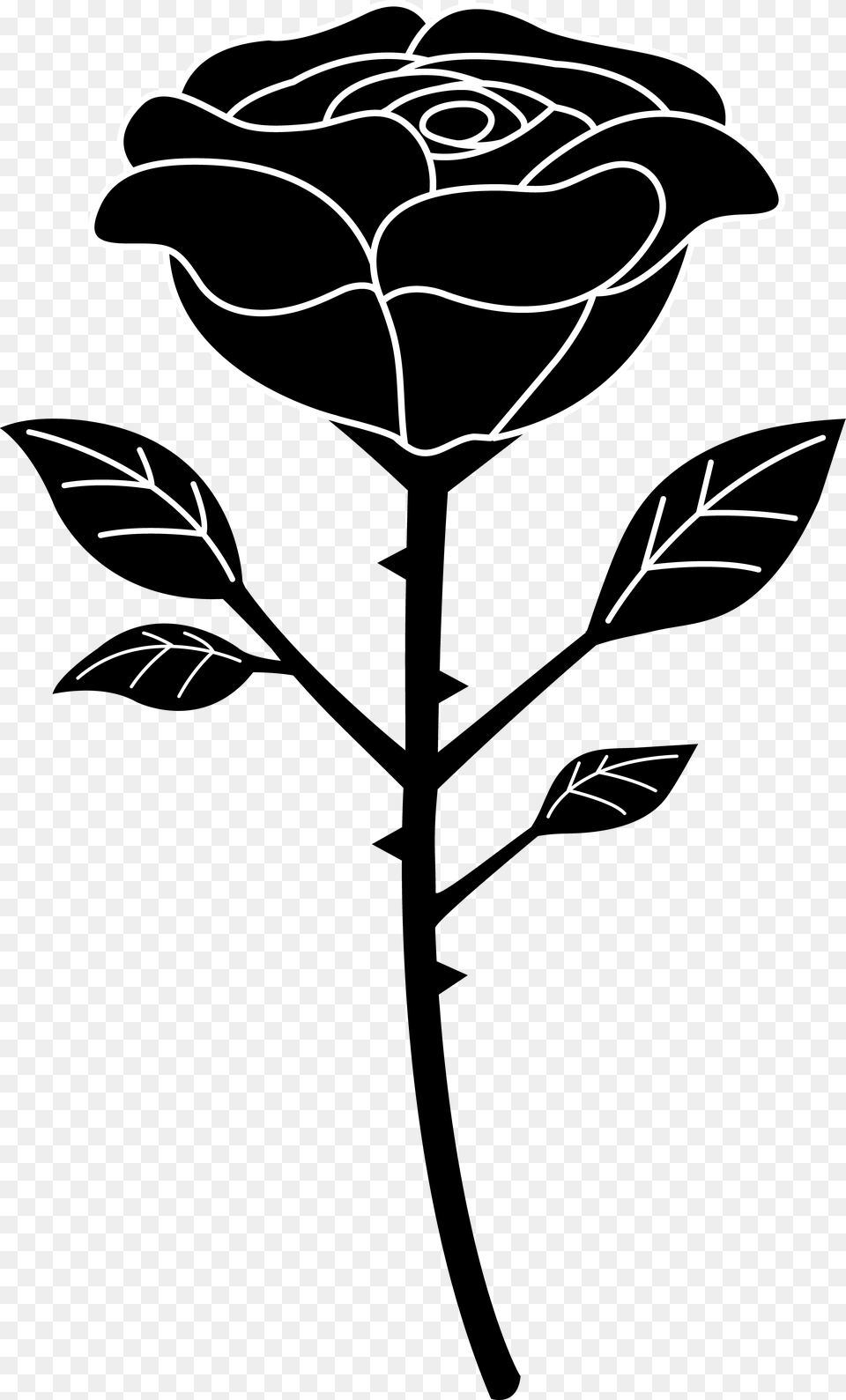 Cartoon Drawing Of Flower Black Rose Vector Free Png Download