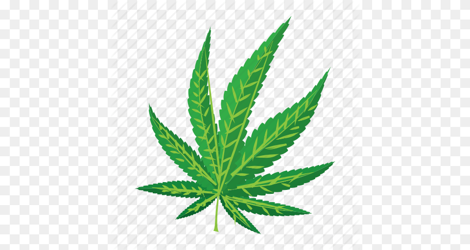 Cartoon Drug Leaf Marijuana Medicine Narcotic Plant Icon, Hemp, Weed Png