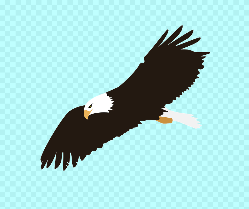 Cartoon Eagle Transparent Background, Animal, Bird, Flying, Bald Eagle Png Image