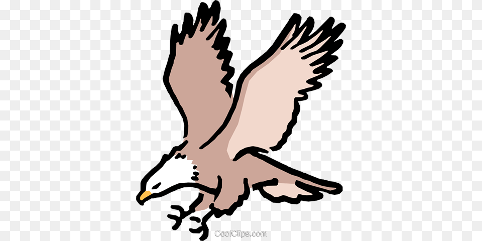 Cartoon Eagles Royalty Vector Clip Art Illustration, Animal, Bird, Eagle, Person Free Png Download