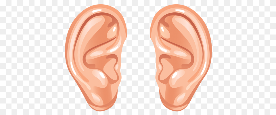 Cartoon Ears Transparent, Body Part, Ear, Person, Head Free Png