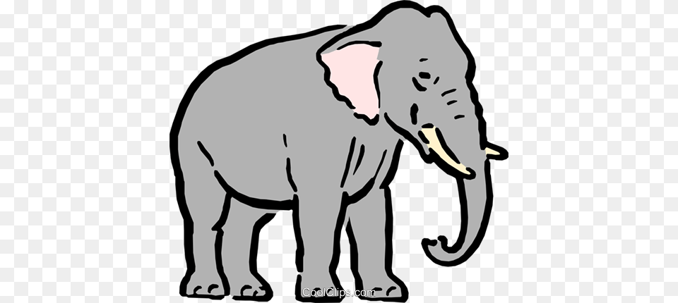 Cartoon Elephant Royalty Vector Clip Art Illustration, Animal, Wildlife, Mammal, Baby Free Png Download