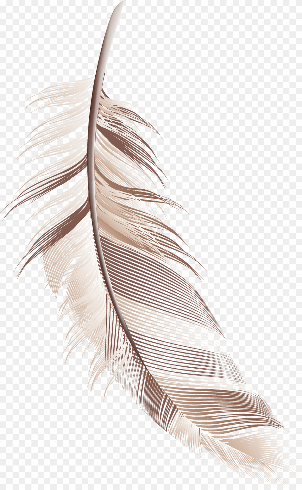 Cartoon Feather Material Download Cartoon Of Feather, Bottle, Art Free Transparent Png
