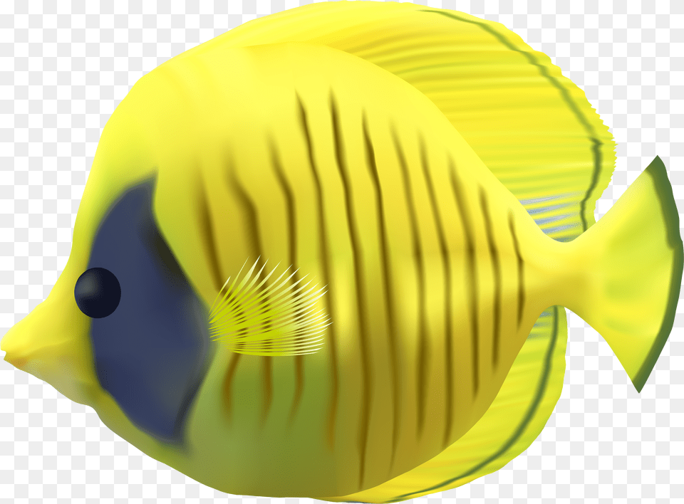 Cartoon Fish Picture Background Fish Free Transparent Png