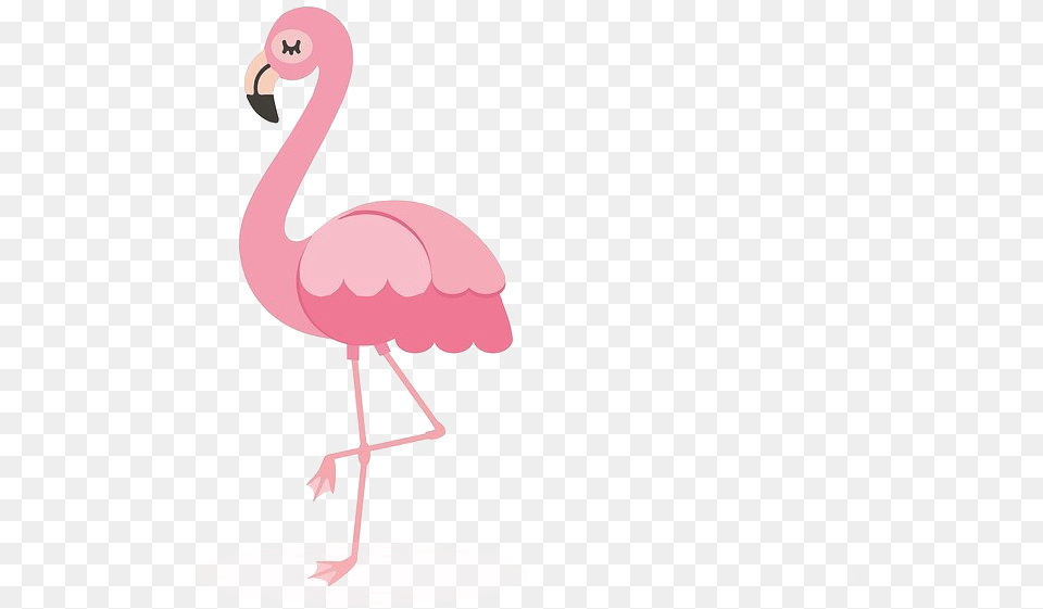 Cartoon Flamingo, Animal, Bird Png Image