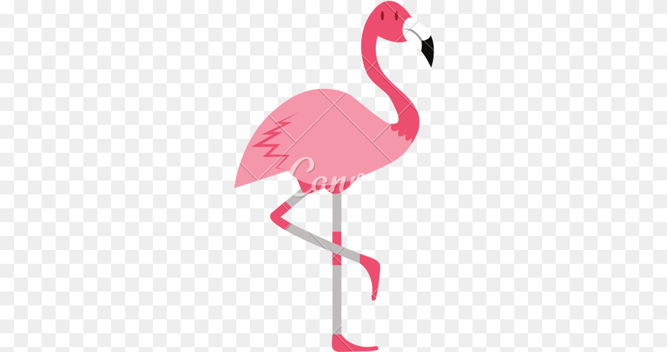Cartoon Flamingo Cartoon Flamingo Transparent Background, Animal, Bird, Beak Png