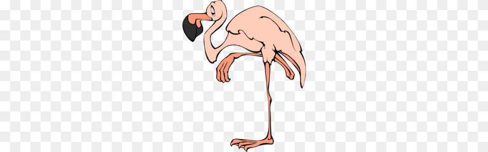 Cartoon Flamingo Clip Art For Web, Animal, Bird, Crane Bird, Waterfowl Png