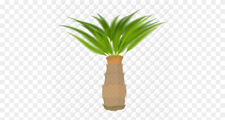Cartoon Floral Green Oil Palm Tree Palmtree Tree Icon, Leaf, Palm Tree, Plant, Potted Plant Free Png Download