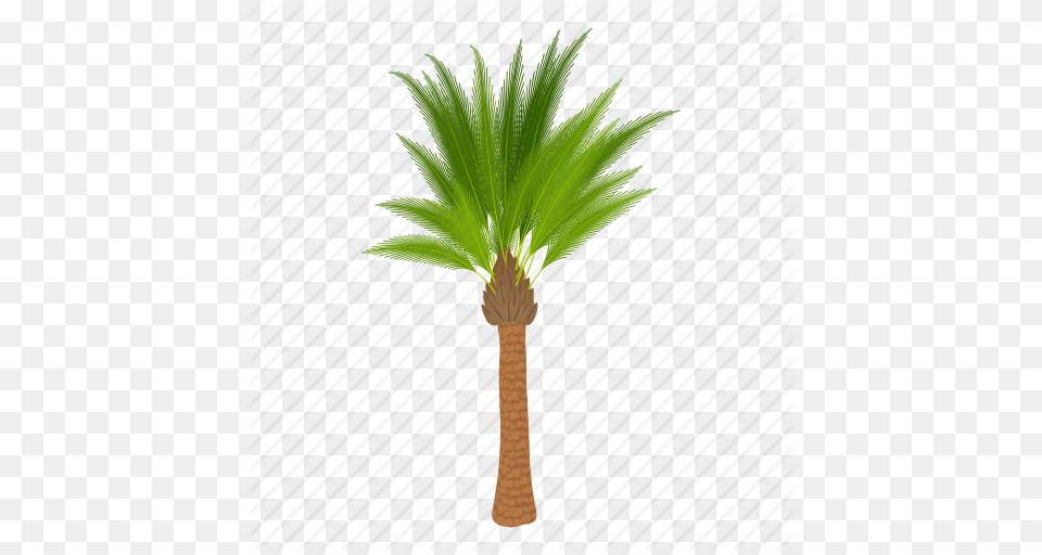 Cartoon Floral Green Oil Palm Tree Palmtree Tree Icon, Leaf, Palm Tree, Plant Png Image