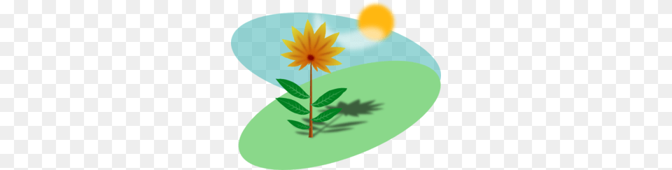 Cartoon Flower In The Sun Clip Art, Daisy, Leaf, Petal, Plant Png Image