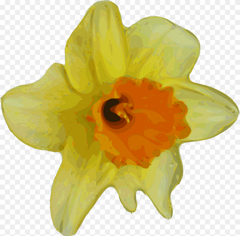 Cartoon Flower Svg Clip Arts Clip Art Spring Flowers Clip Art, Daffodil, Plant, Person Free Png