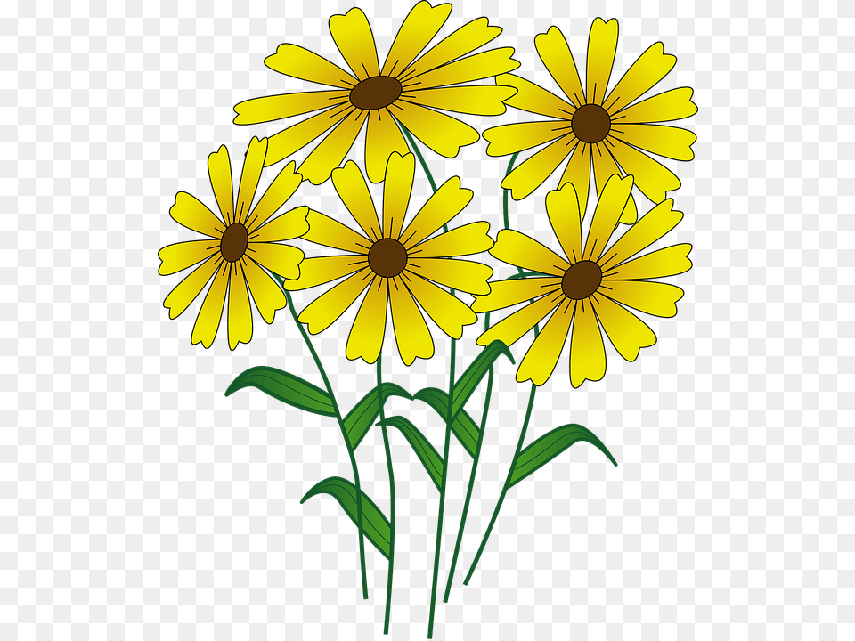 Cartoon Flower Transparent Flowers Cartoon, Daisy, Plant, Petal Free Png Download