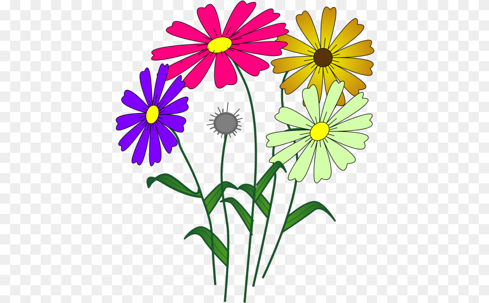 Cartoon Flowers Clipart, Daisy, Flower, Plant Png