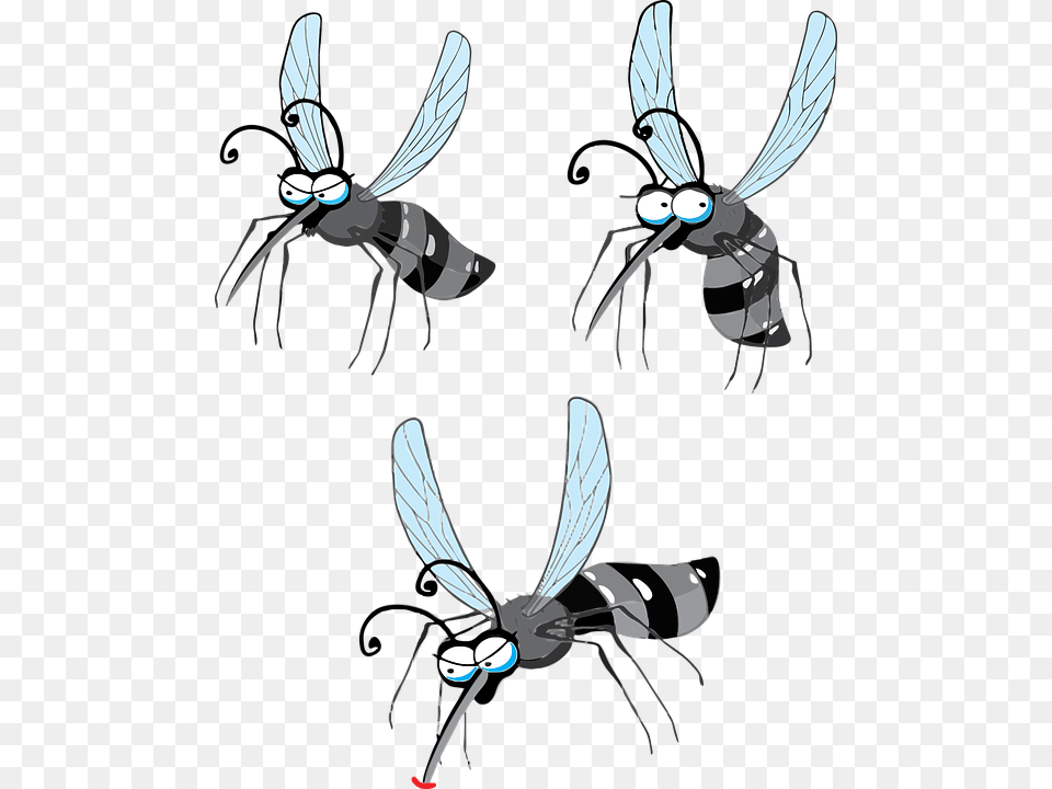 Cartoon Fly Pictures 27 Flying Mosquito Transparent, Animal, Wasp, Invertebrate, Insect Free Png Download