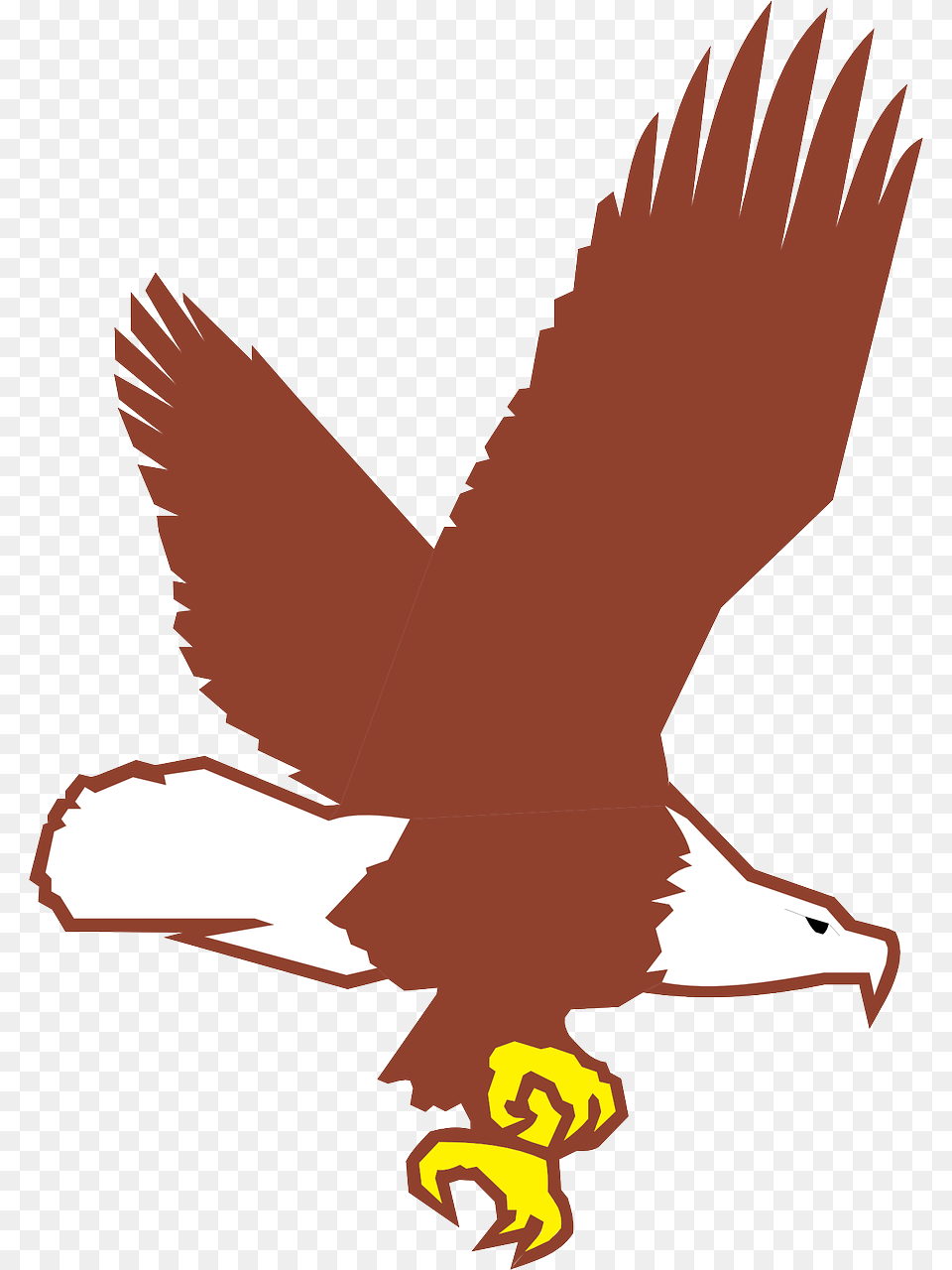 Cartoon Flying Bald Eagle, Animal, Beak, Bird, Vulture Free Png