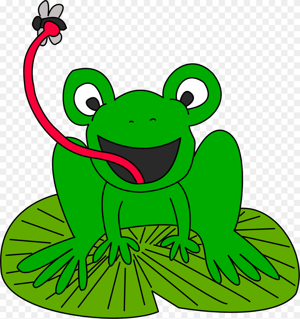 Cartoon Frog Catching Flies Clipart, Green, Amphibian, Animal, Wildlife Free Png
