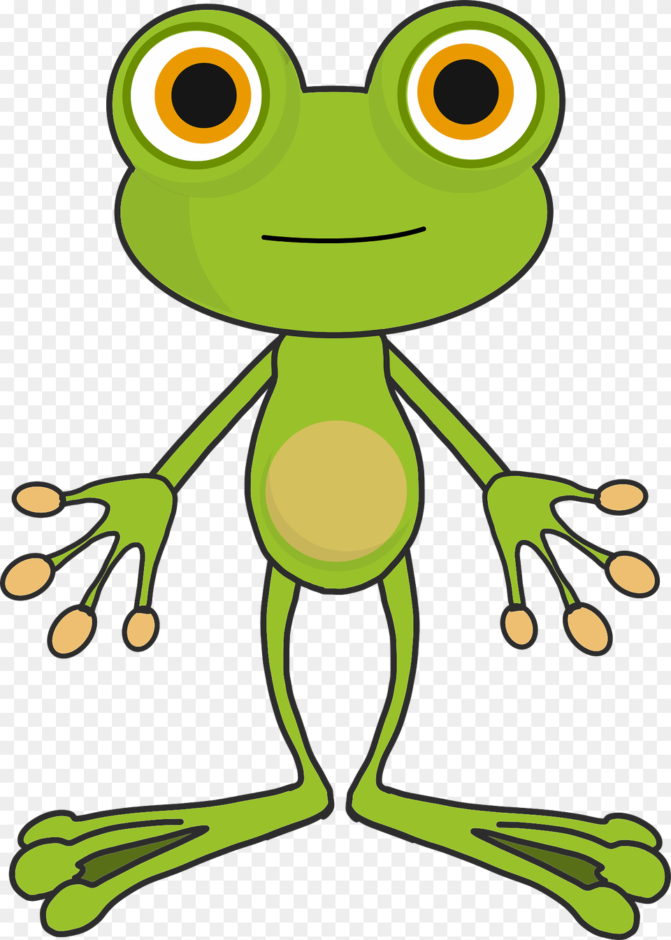 Cartoon Frog Clipart, Amphibian, Animal, Wildlife, Tree Frog Png Image