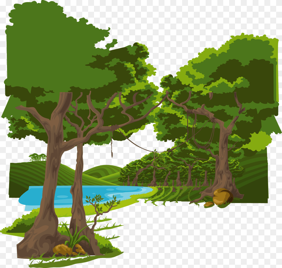 Cartoon Graphic Design Illustration Forest Trees Cartoon, Woodland, Plant, Tree, Outdoors Free Png