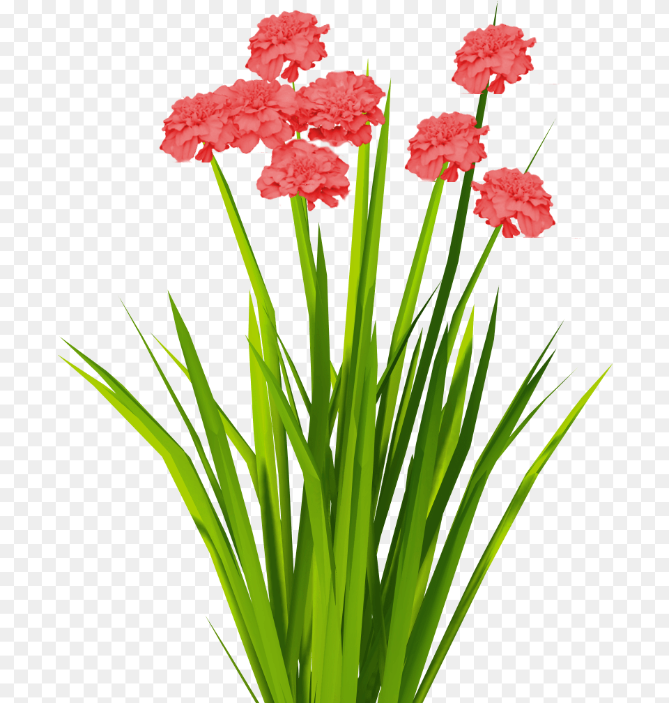 Cartoon Grass And Flowers Flower Grass Texture, Carnation, Plant, Rose Png Image