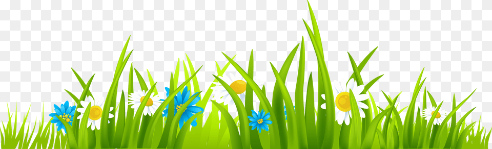 Cartoon Grass And Flowers Grass Clipart, Daisy, Flower, Green, Plant Free Png