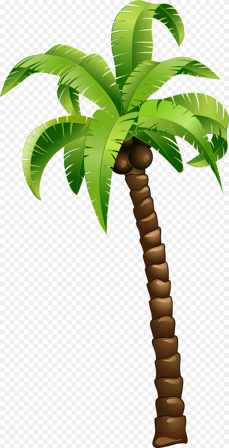 Cartoon Green Coconut Tree Cartoon Palm Tree Coconut Tree Cartoon, Palm Tree, Plant, Leaf Png