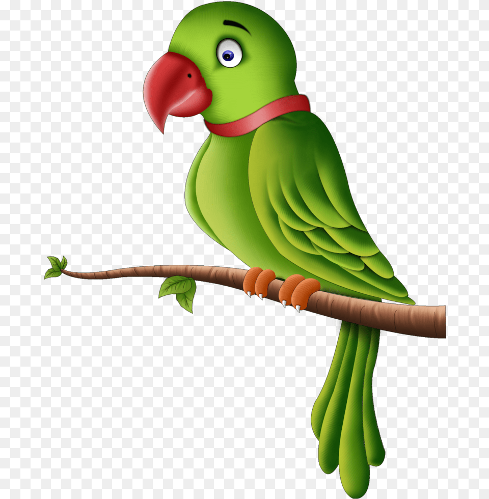Cartoon Green Parrot Clipart, Animal, Bird, Parakeet Png