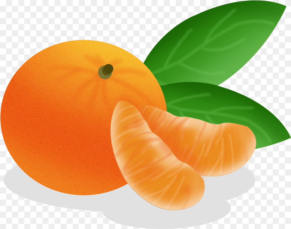 Cartoon Hand Drawn Fruit Food And Psd Tangerine, Produce, Plant, Orange, Grapefruit Free Png