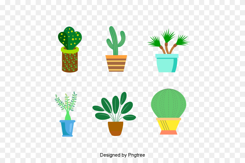 Cartoon Hand Painted Simple Flower Pot Flower Design Cartoon, Plant, Cactus Free Png Download