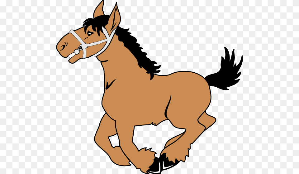 Cartoon Horse, Animal, Mammal, Colt Horse, Baby Png Image