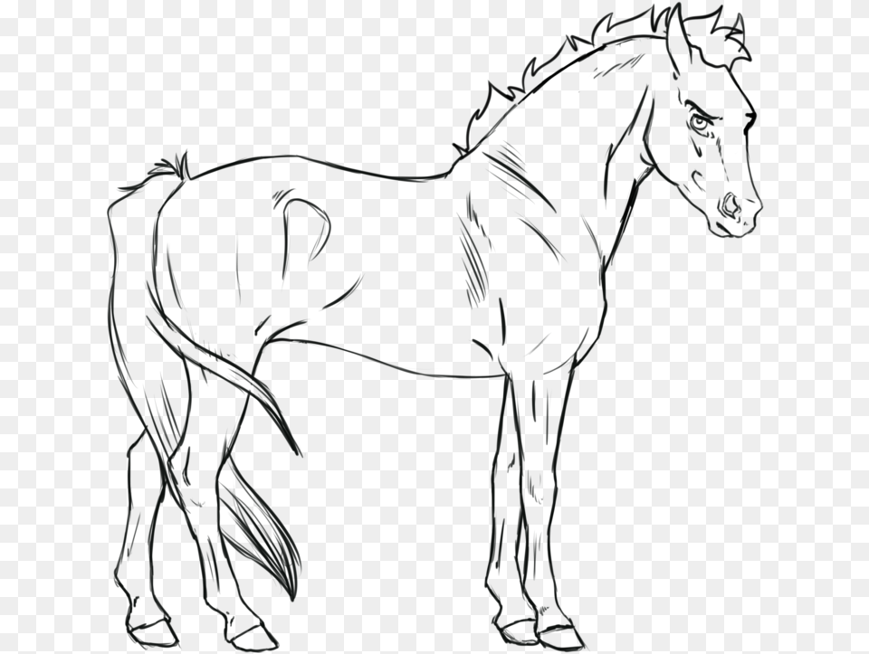 Cartoon Horse Lineart, Animal, Mammal, Andalusian Horse Free Png Download