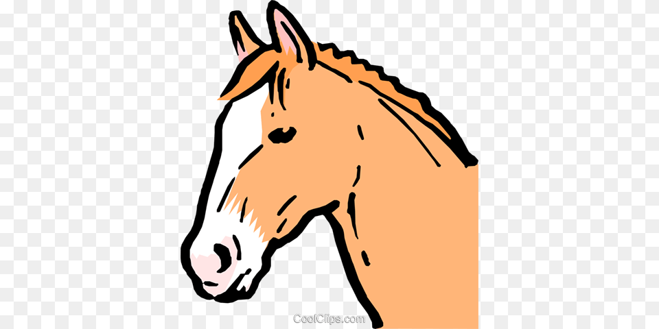 Cartoon Horse Royalty Vector Clip Art Illustration, Animal, Colt Horse, Mammal, Person Free Transparent Png