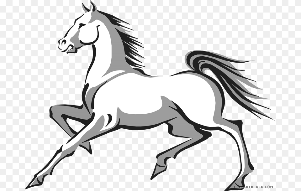 Cartoon Horses Clipart, Animal, Mammal, Horse, Colt Horse Free Transparent Png
