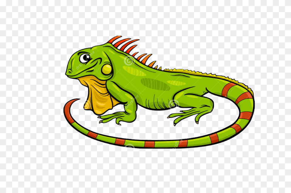 Cartoon Iguana Clip Art, Animal, Lizard, Reptile, Dinosaur Free Png Download
