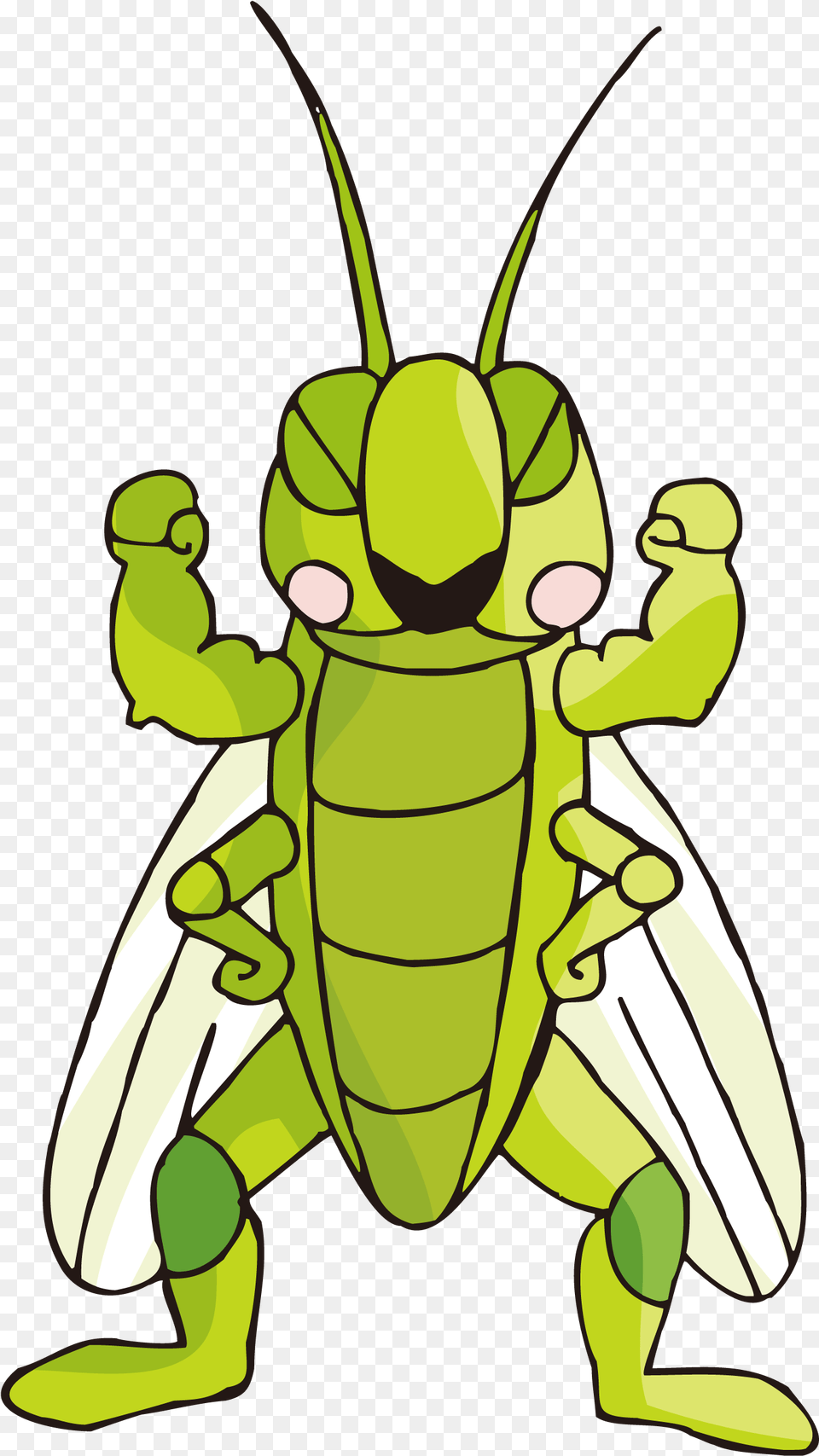 Cartoon Images Gallery For Insect Cartoon Cricket, Animal, Grasshopper, Invertebrate, Fish Png Image