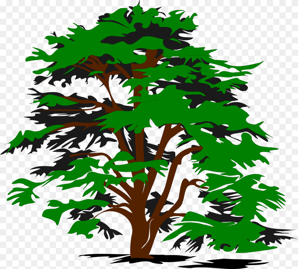 Cartoon Jungle Tree Clipart Vector Tree, Green, Plant, Conifer, Vegetation Png