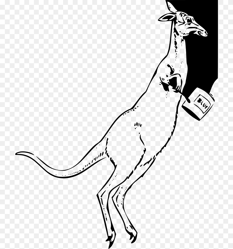 Cartoon Kangaroo, Gray Free Png Download