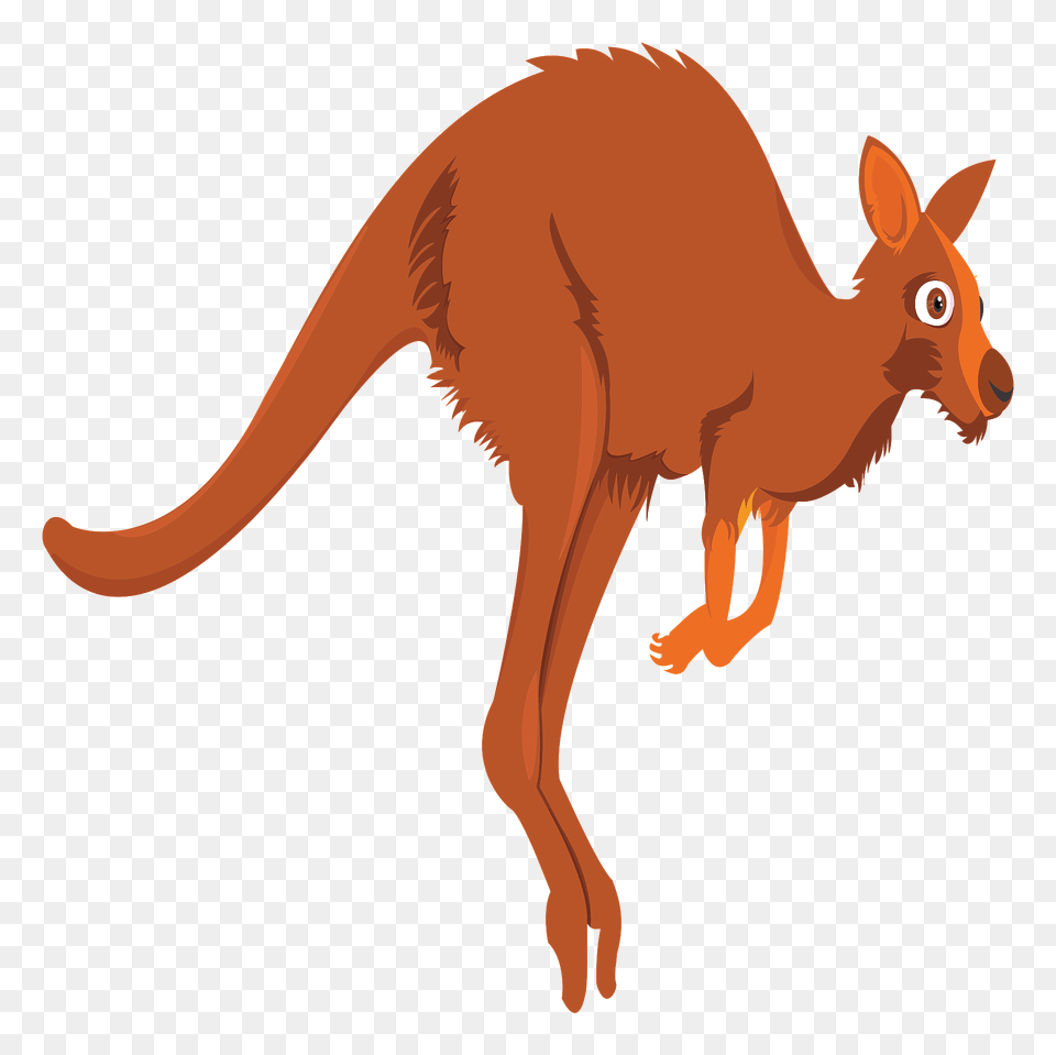 Cartoon Kangaroo Clipart, Animal, Mammal Png