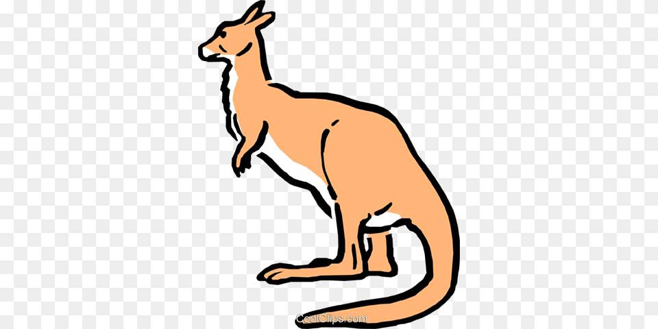 Cartoon Kangaroo Royalty Free Vector Clip Art Illustration, Animal, Mammal Png