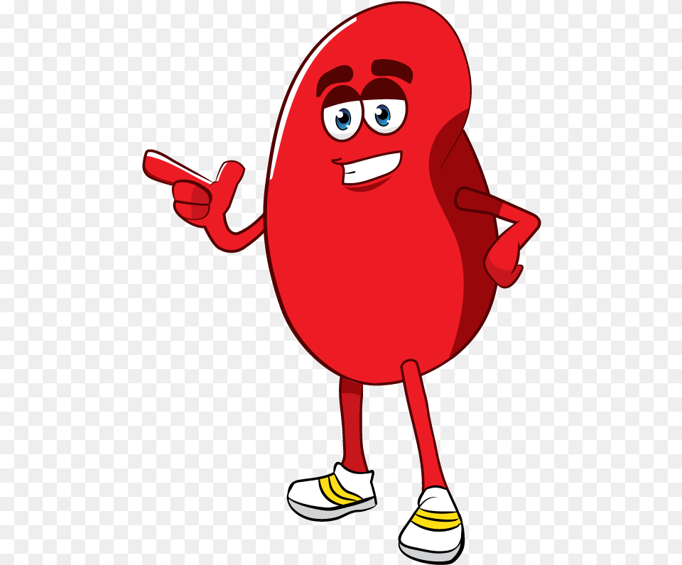 Cartoon Kidney Clipart Cartoon Red Blood Cells Animation, Baby, Person, Face, Head Free Transparent Png