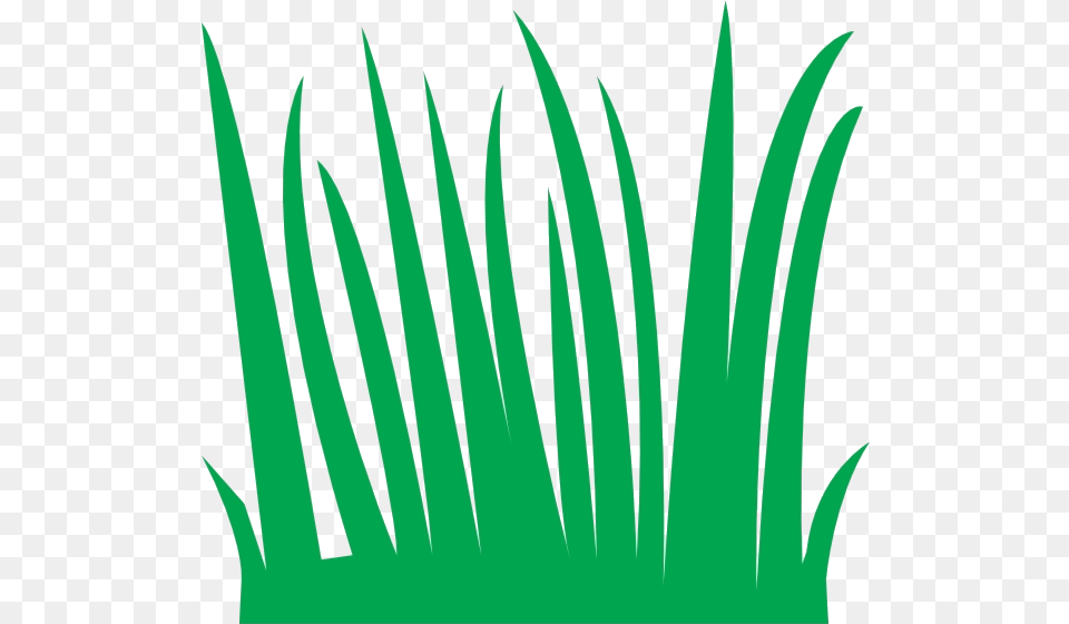 Cartoon Long Grass, Green, Plant, Accessories Png Image
