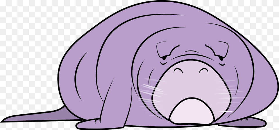 Cartoon Manatee Image Cartoon, Animal, Mammal Free Transparent Png