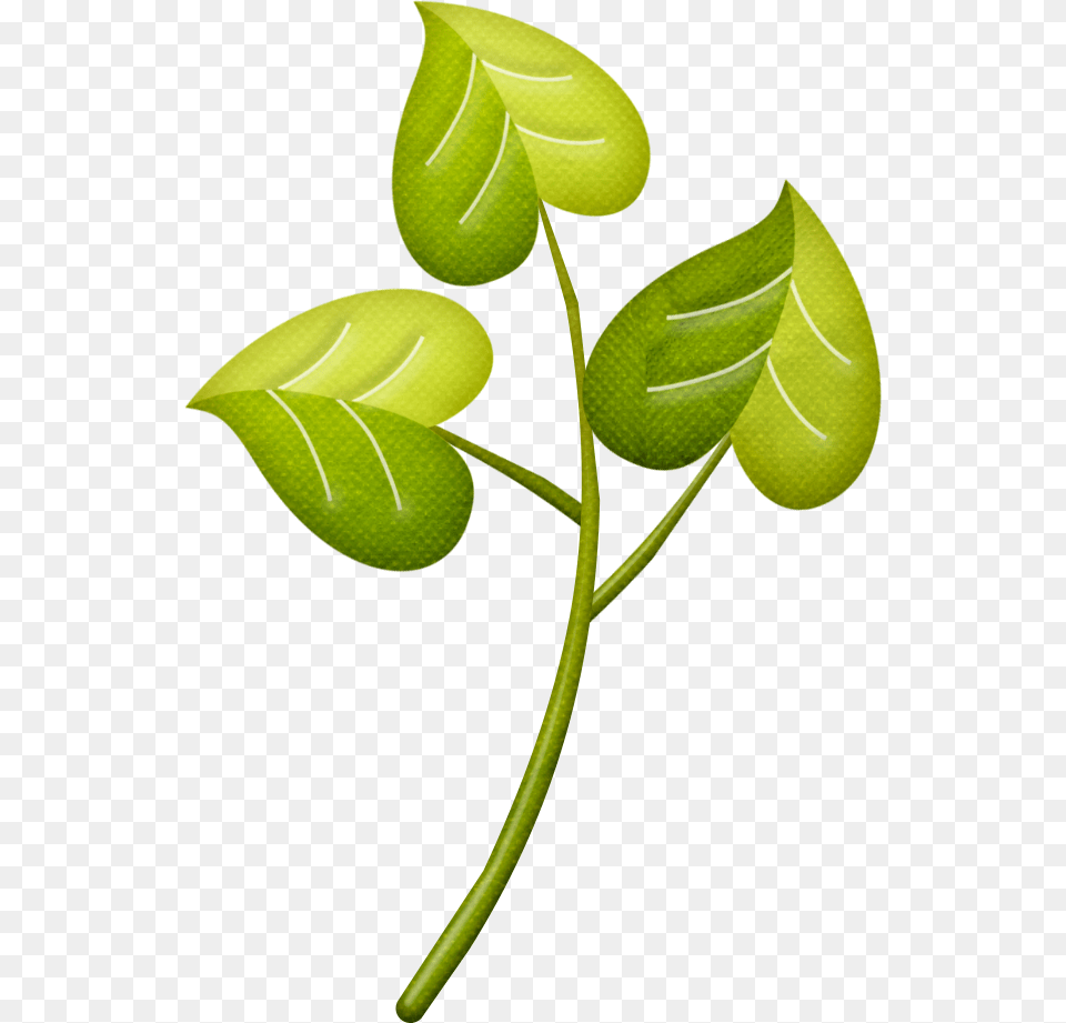 Cartoon Miscellaneous Clip Art, Green, Leaf, Plant, Herbal Png