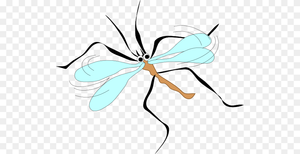Cartoon Mosquito Clip Art For Web, Animal, Bow, Weapon, Bee Free Png Download
