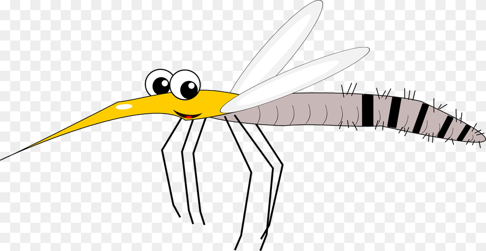 Cartoon Mosquito Clipart, Animal, Dragonfly, Insect, Invertebrate Free Transparent Png