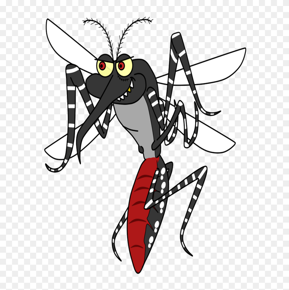 Cartoon Mosquito Clipart, Animal, Bee, Insect, Invertebrate Free Png