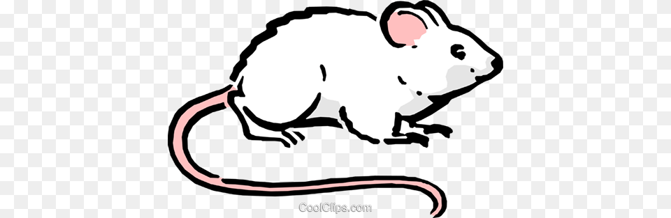Cartoon Mouse Royalty Vector Clip Art Illustration, Animal, Mammal, Fish, Sea Life Free Transparent Png