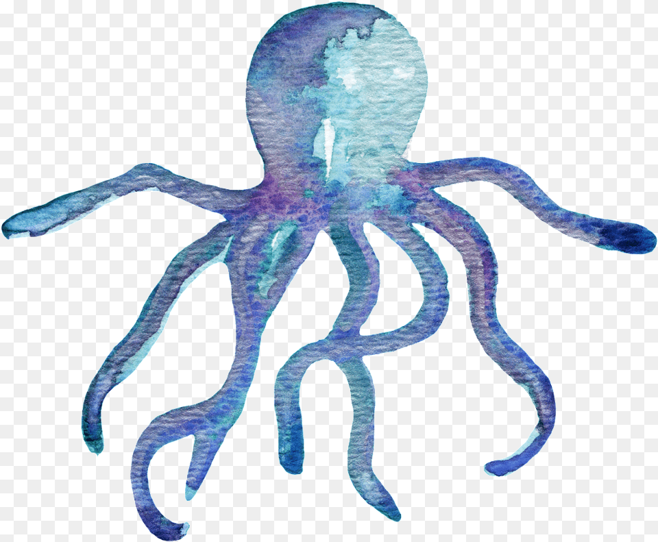 Cartoon Octopus Octopus Water Color, Animal, Bird, Sea Life, Invertebrate Free Transparent Png