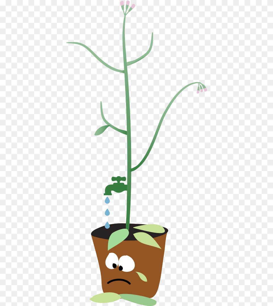 Cartoon Of A Leaking Plant Sad Plant Cartoon, Flower, Flower Arrangement, Ikebana, Orchid Png