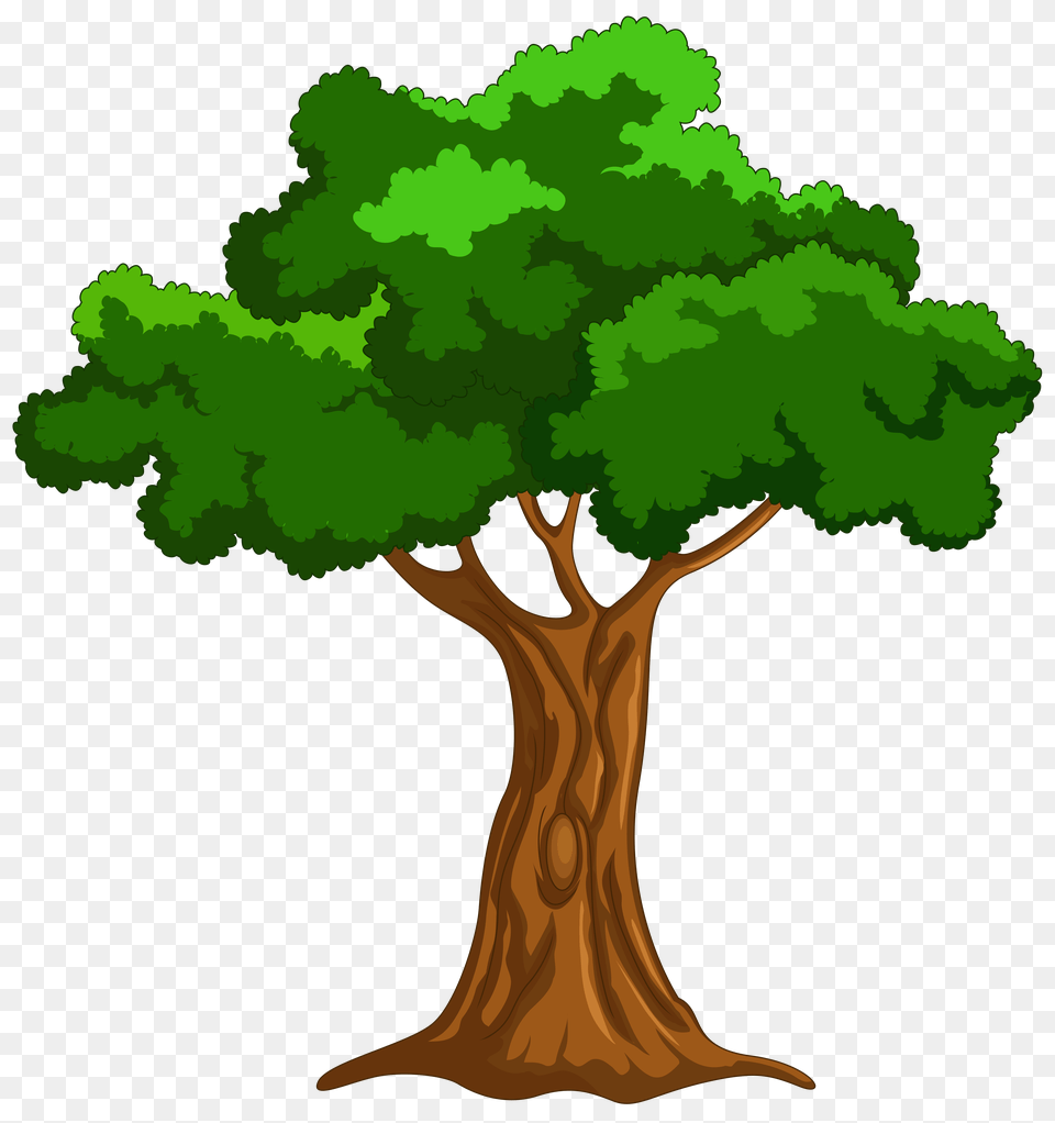Cartoon Of An Ent Tree, Plant, Vegetation, Oak, Sycamore Free Png Download