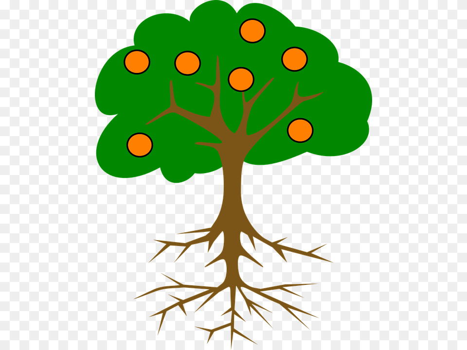 Cartoon Orange Tree Tree Drawing With Fruits, Plant, Root, Animal, Bear Png Image